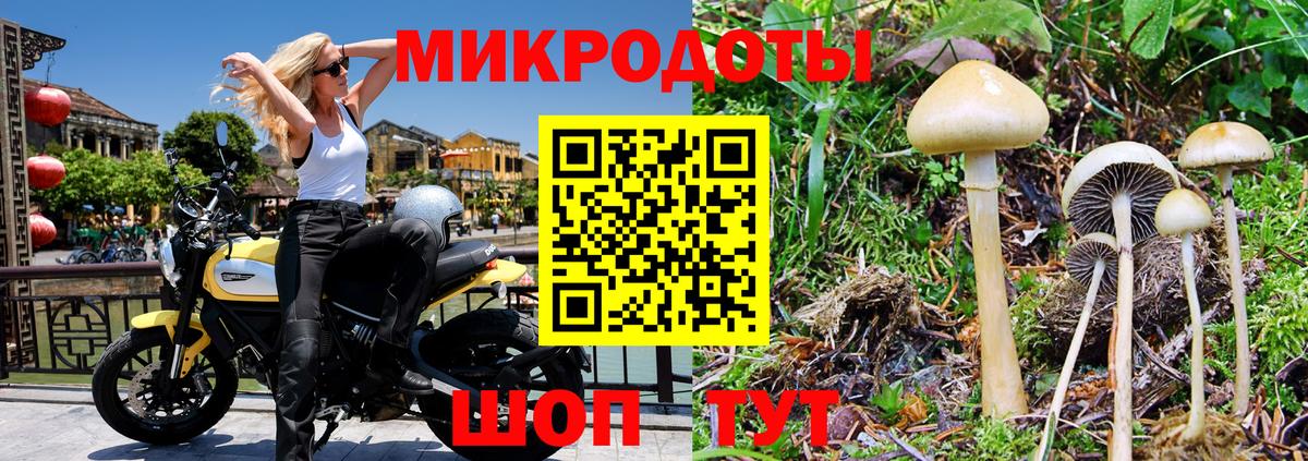 Псилоцибиновые грибы ЛСД Великий Устюг