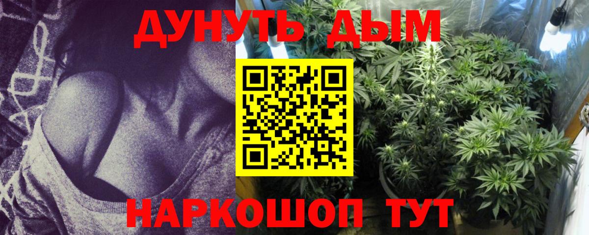 Бошки марихуана конопля  Конопля гибрид  Конопля сатива  Великий Устюг  Вход с VPN 